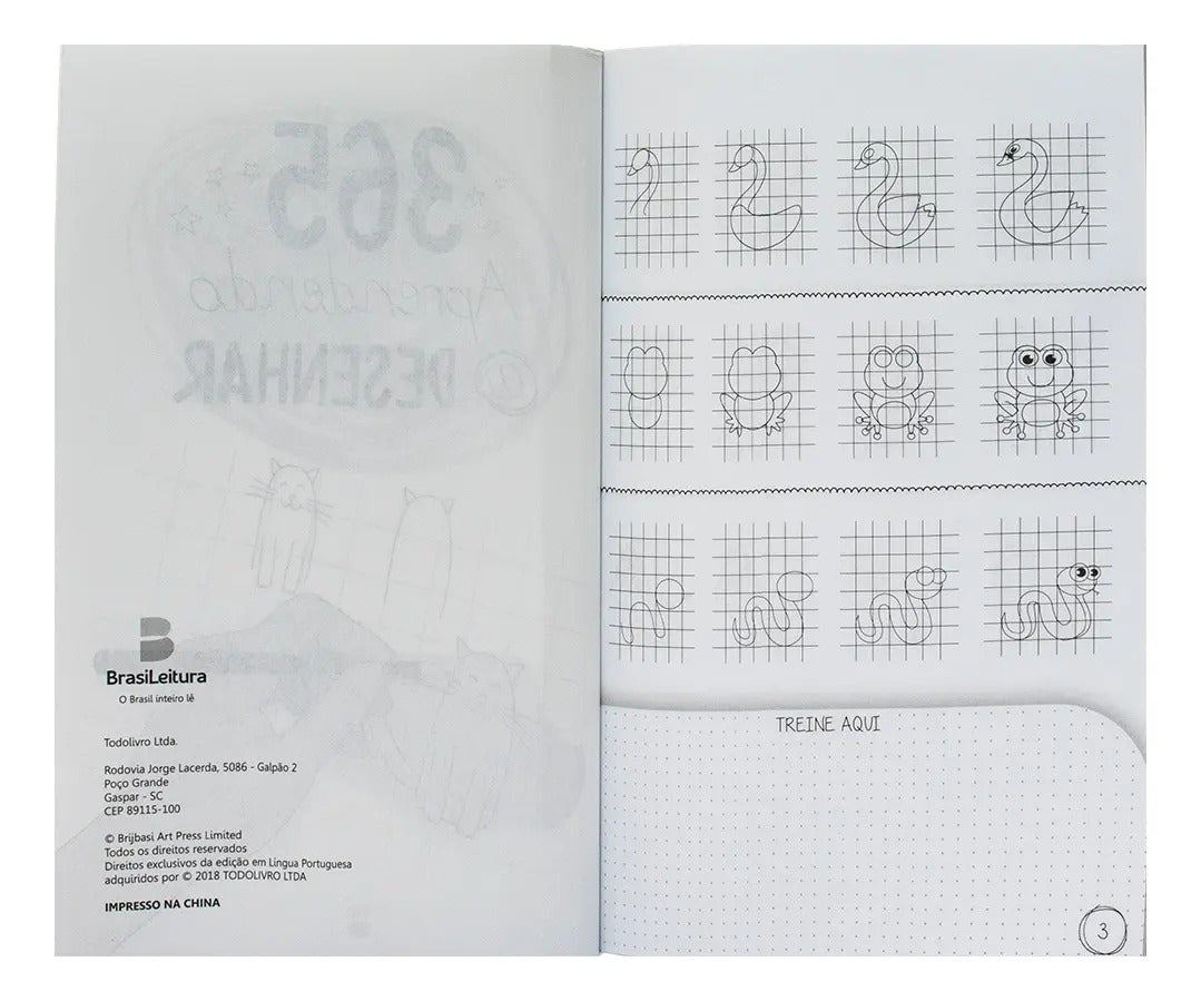 Livro 365 Aprendendo A Desenhar
