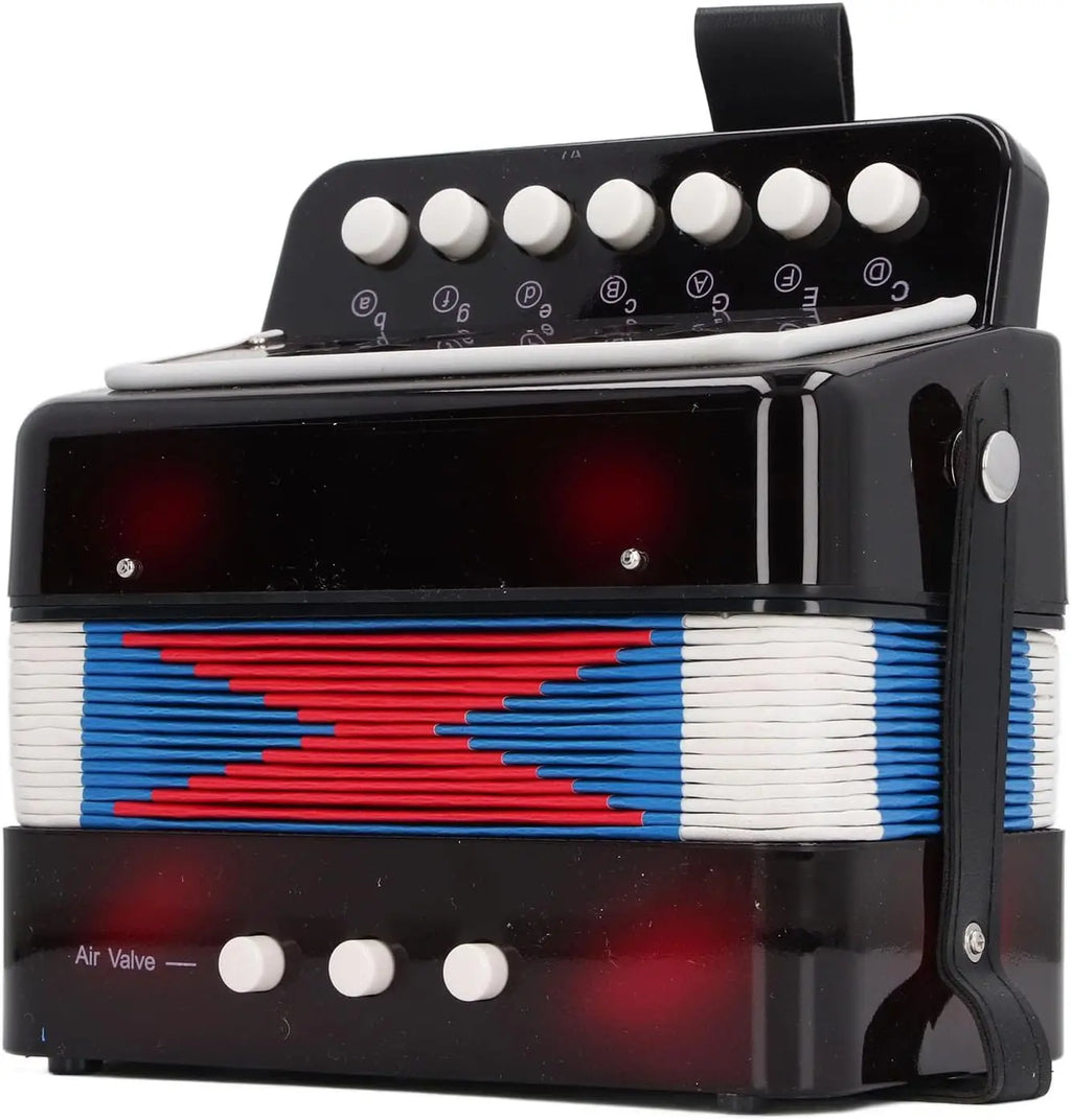 🎵 Acordeão Infantil 7 Teclas e 2 Baixos – Instrumento Educativo