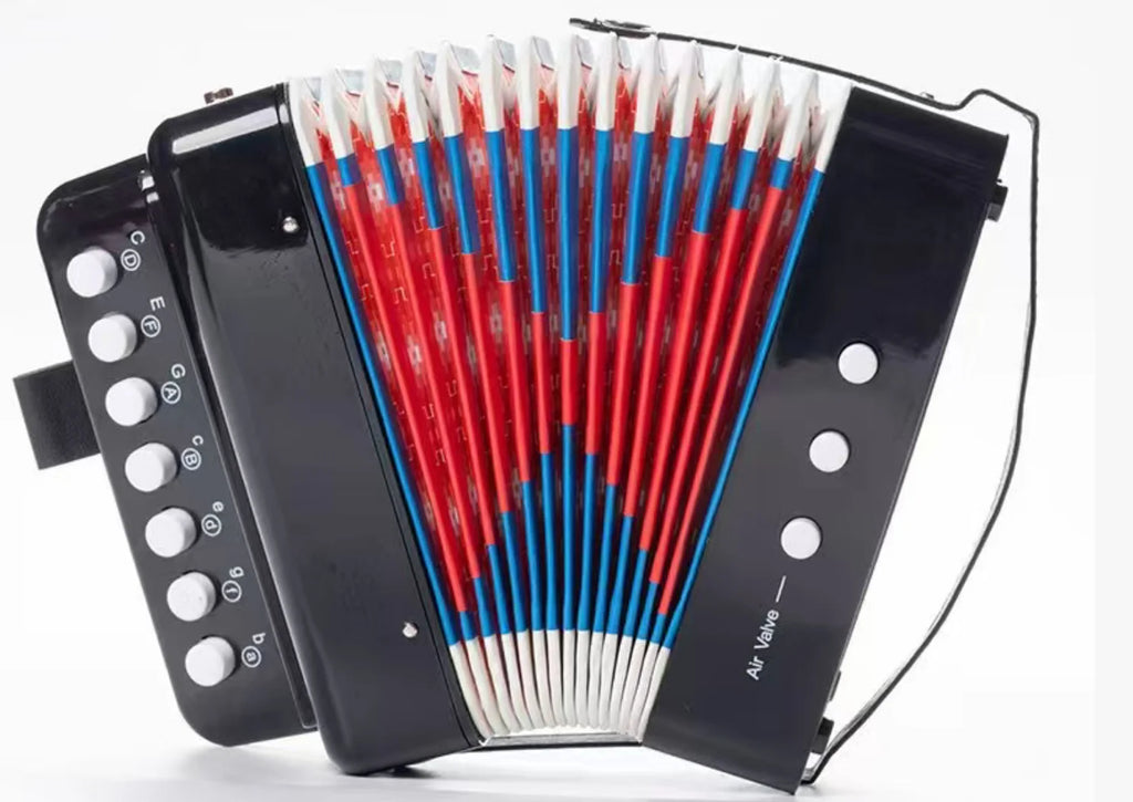 🎵 Acordeão Infantil 7 Teclas e 2 Baixos – Instrumento Educativo