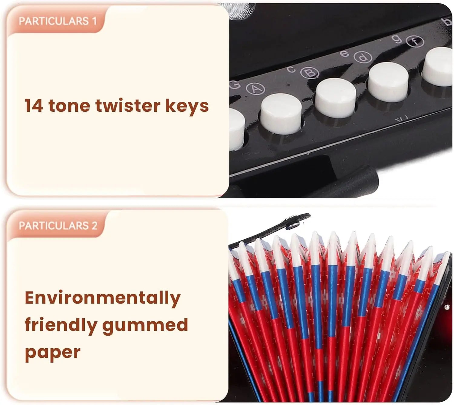 🎵 Acordeão Infantil 7 Teclas e 2 Baixos – Instrumento Educativo